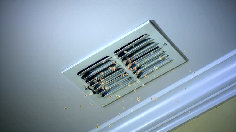 Best Affordable HVAC Duct Cleaning  in Long Beach, WA