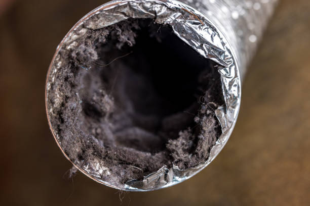 Best Affordable Air Duct Cleaning  in Long Beach, WA