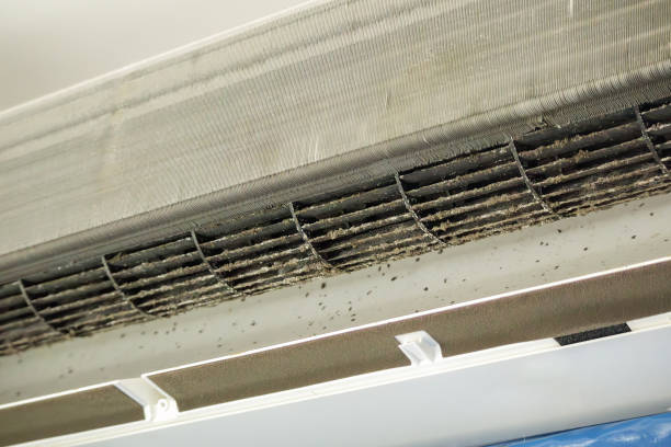 Best Air Duct Cleaning Near Me  in Long Beach, WA
